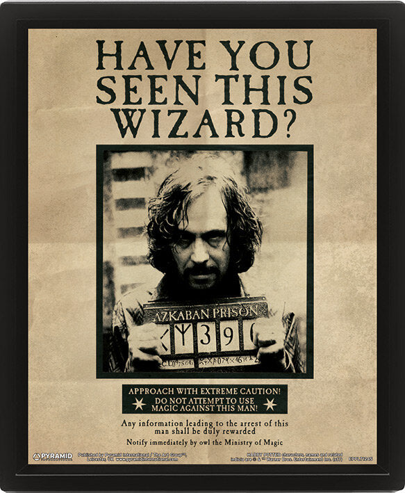 eppl71245-harry-potter-potter-sirius-10x8-3d.jpg