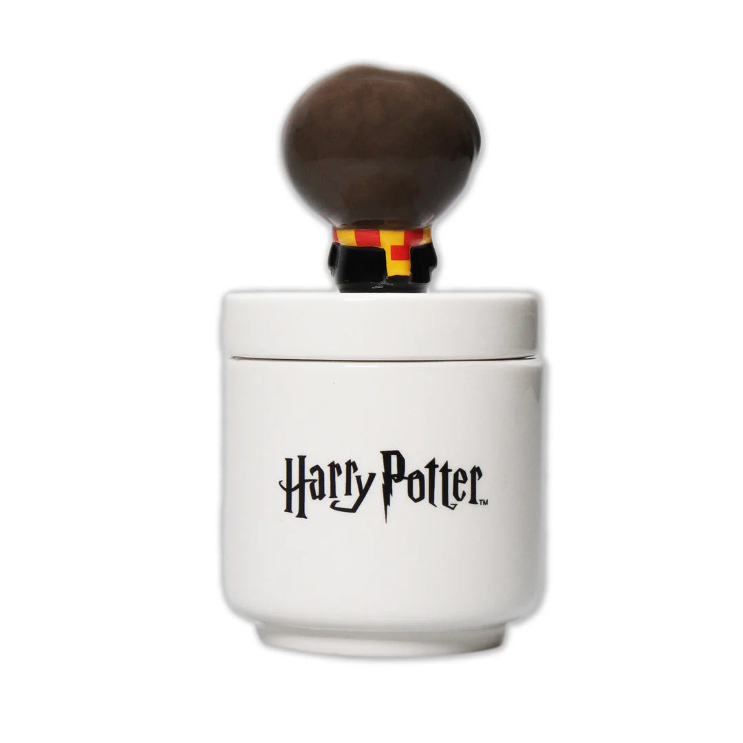 Collector's Box Boxed (14cm) - Harry Potter Kawaii (Harry)