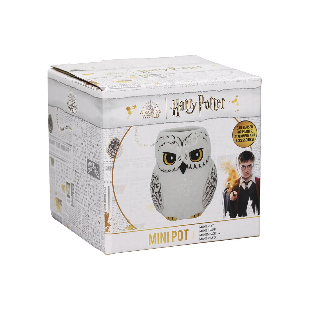 Ceramic Pot Shaped Boxed (11cm) - Harry Potter (Hedwig)